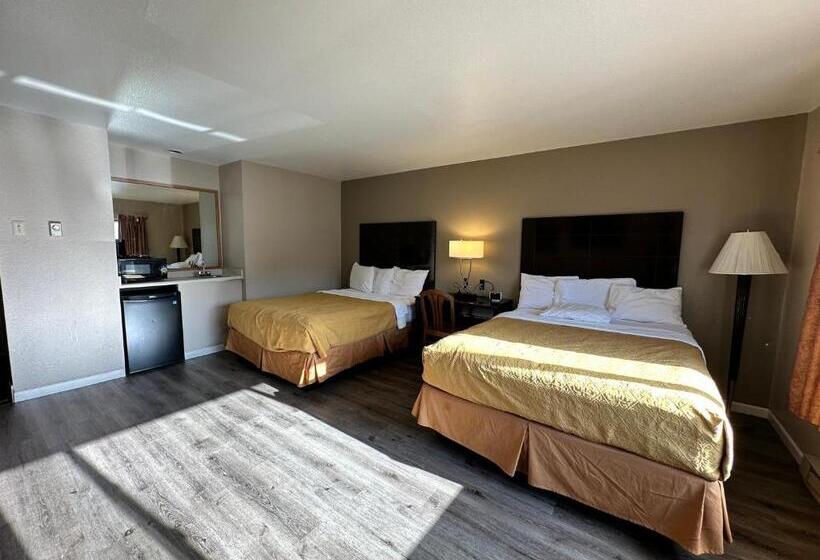 Номер Стандарт, Rodeway Inn & Suites Madison East