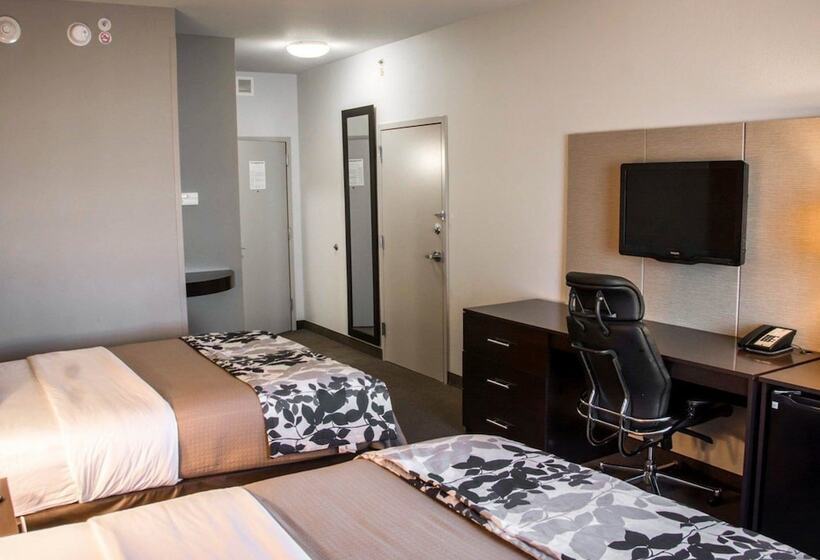 스탠다드 룸 더블 침대 2개, Sleep Inn & Suites Medical Center