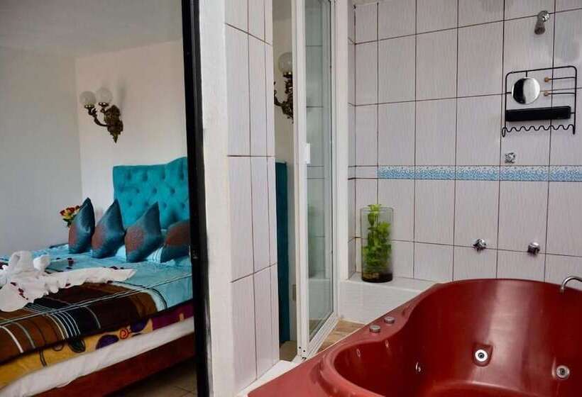 اتاق استاندارد, Casa Ixtapan