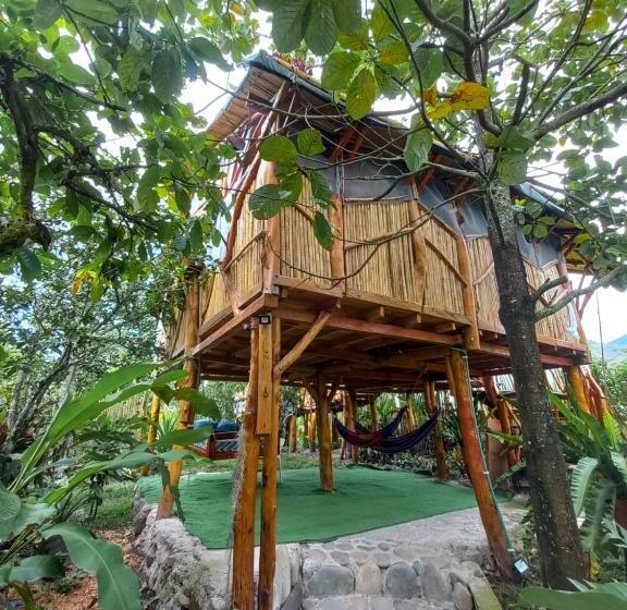스탠다드 룸 산 전망, Villa Sonia Eco Hostel