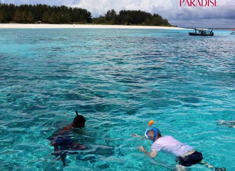 豪华海景房, Mambo Paradise