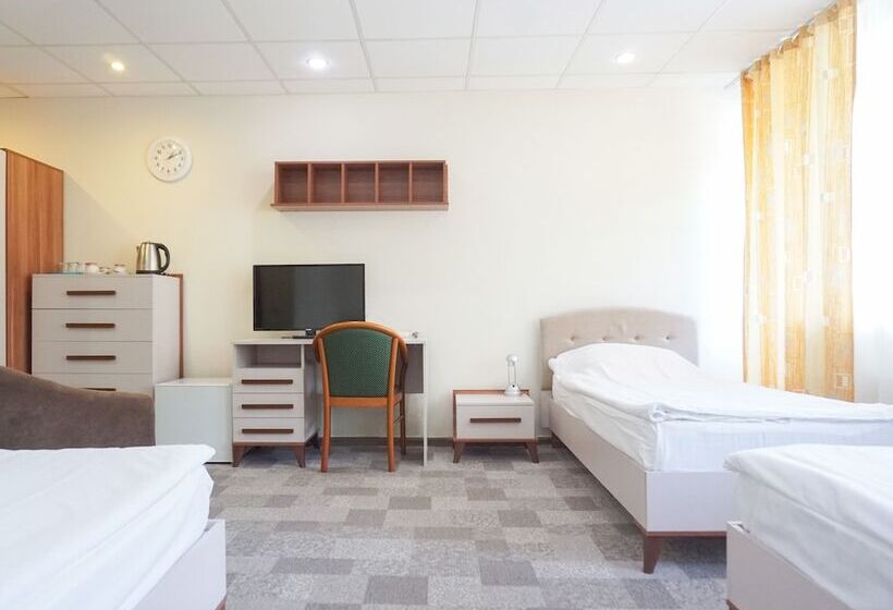 اتاق استاندارد سه نفره, City Hotel