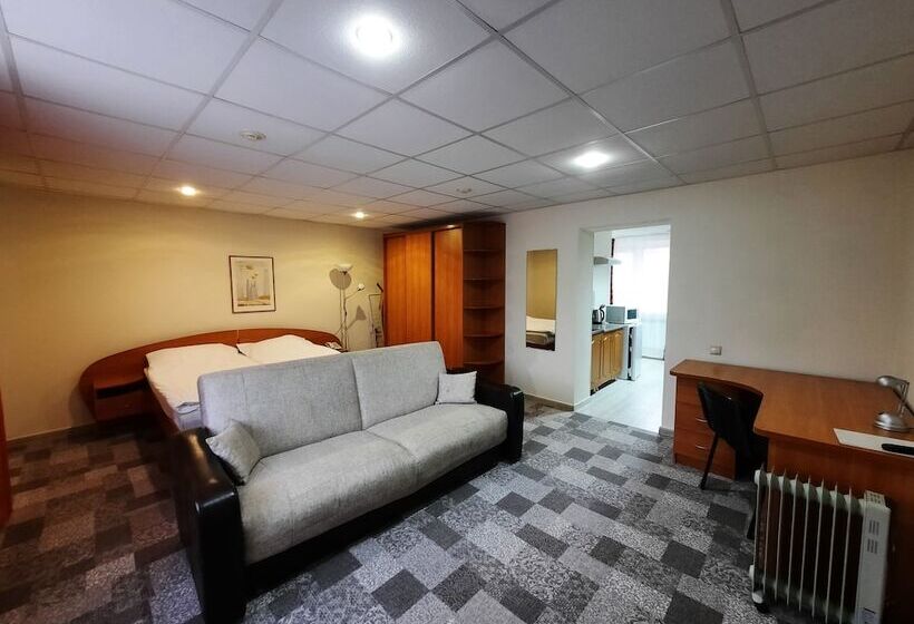 آپارتمان 1 خوابه, City Hotel