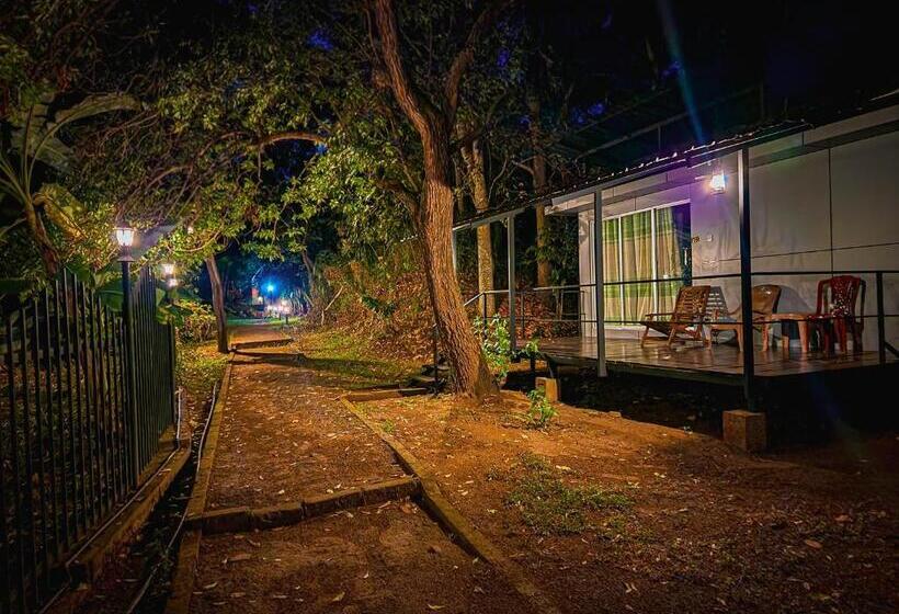 اتاق لوکس, Birds Paradise Inn