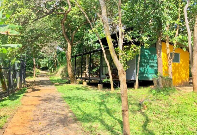 اتاق لوکس, Birds Paradise Inn