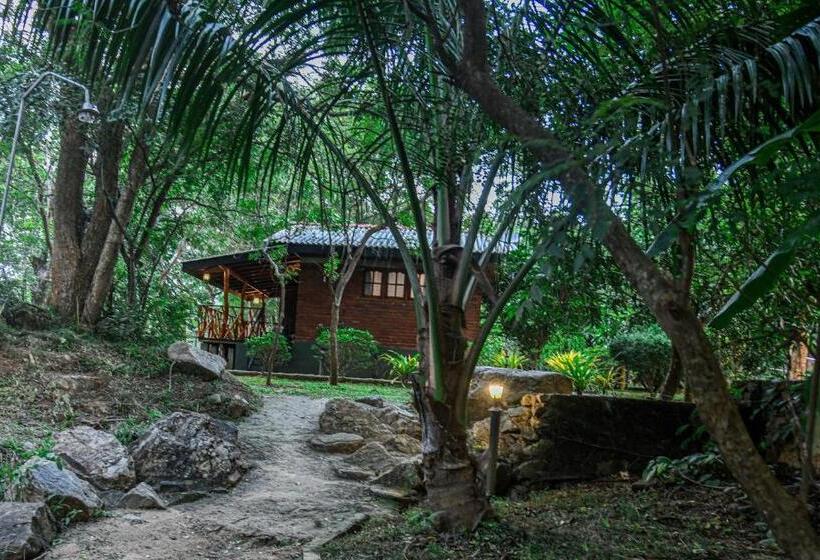 اتاق خانوادگی, Birds Paradise Inn