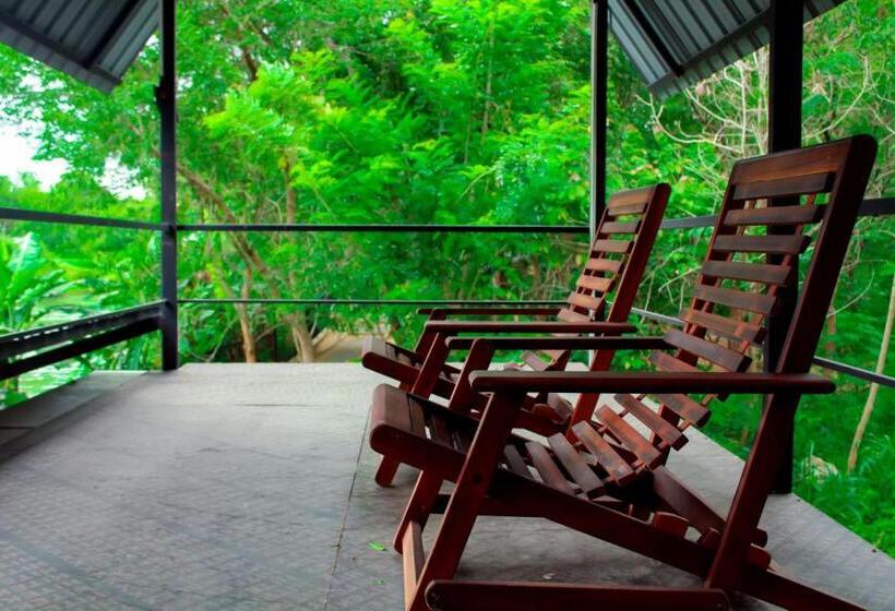 اتاق استاندارد با چشم‌انداز دریاچه, Birds Paradise Inn