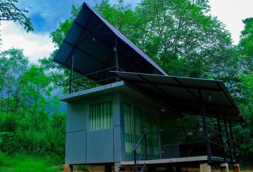 اتاق لوکس, Birds Paradise Inn
