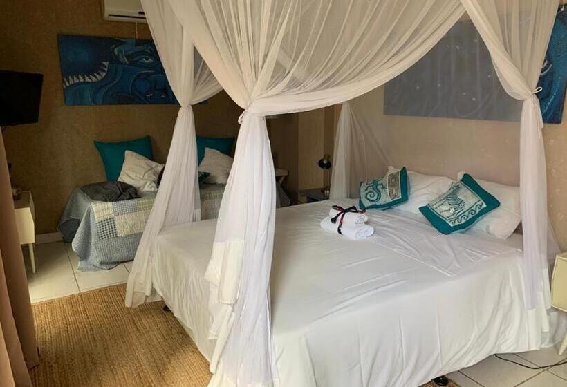 اتاق استاندارد با چشم‌انداز باغ, Acacia Inn Guesthouse
