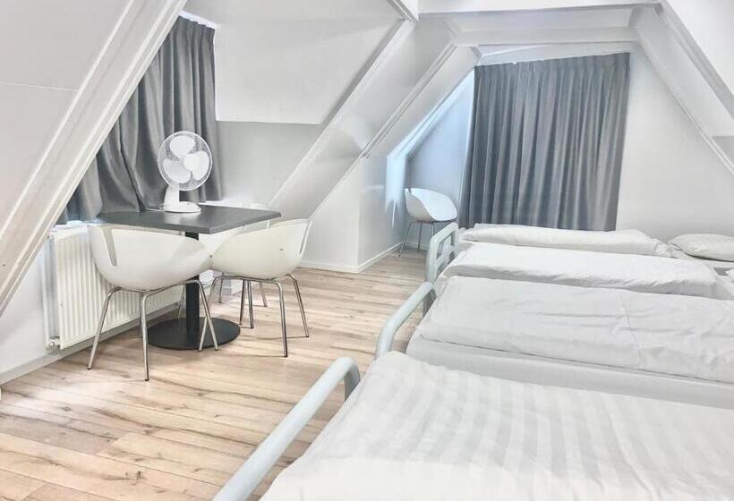 스탠다드 4인용 룸 공용 욕실, The White Tulip Hostel