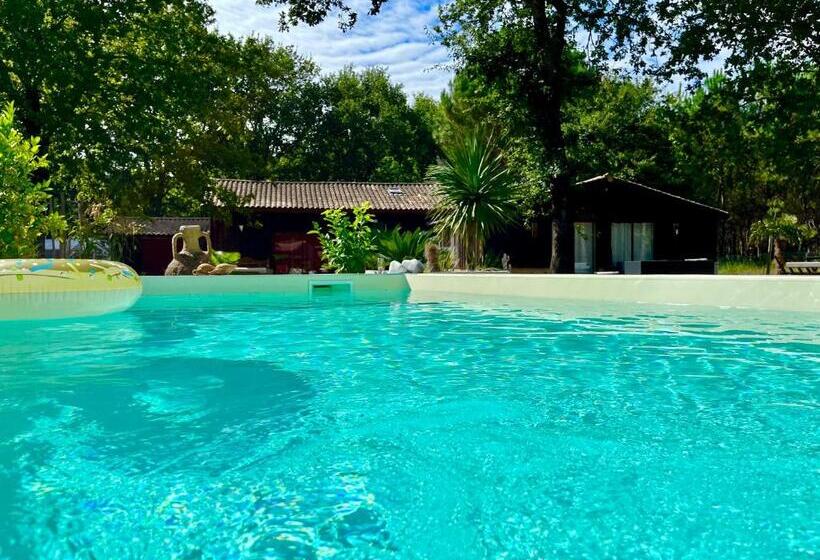 이코노미 룸, Hacienda De La Canopée Avec Piscine Chauffée Au Sel