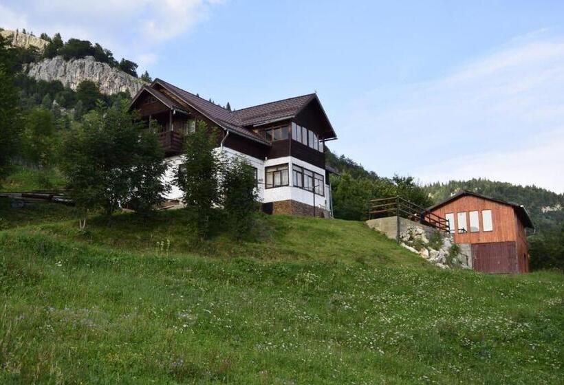 Дом 1 Спальня, Cabana Colnic