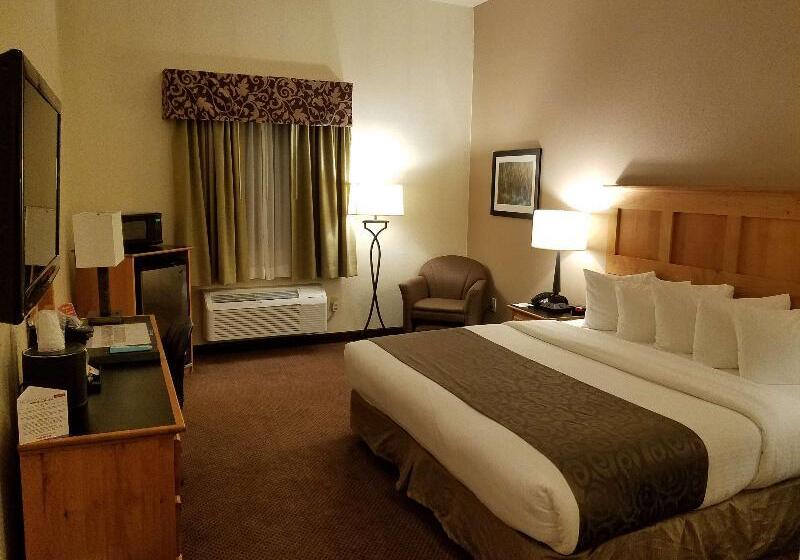스탠다드 룸 킹사이즈 침대, Best Western Brighton Inn