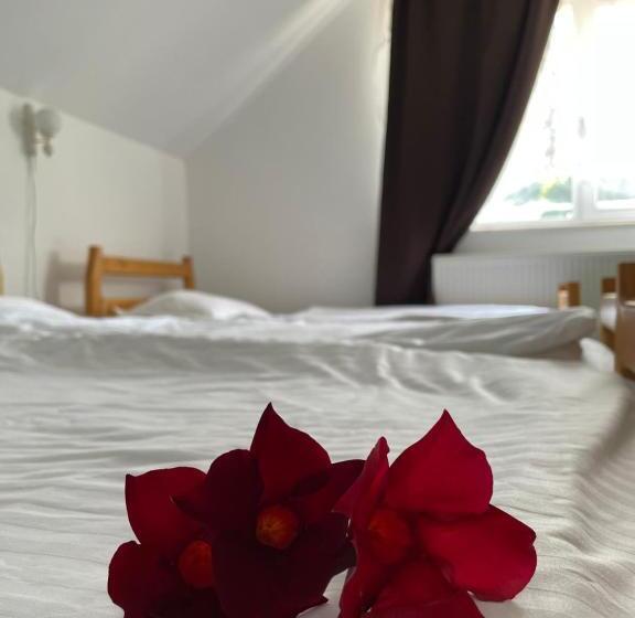 4인용 스탠다드 룸, Kati Guesthouse