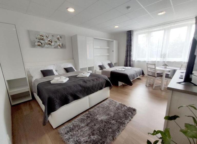 Четырехместный Номер Стандарт, Penzion Wellness Chechluvka