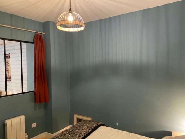 شقة ديلوكس غرفة واحدة, Ecolodge Appartements 2 Pièces Cosy Gare