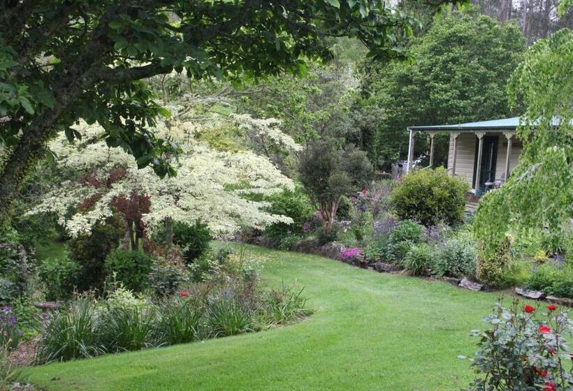 Номер Стандарт Вид на Сад, Aramatai Gardens