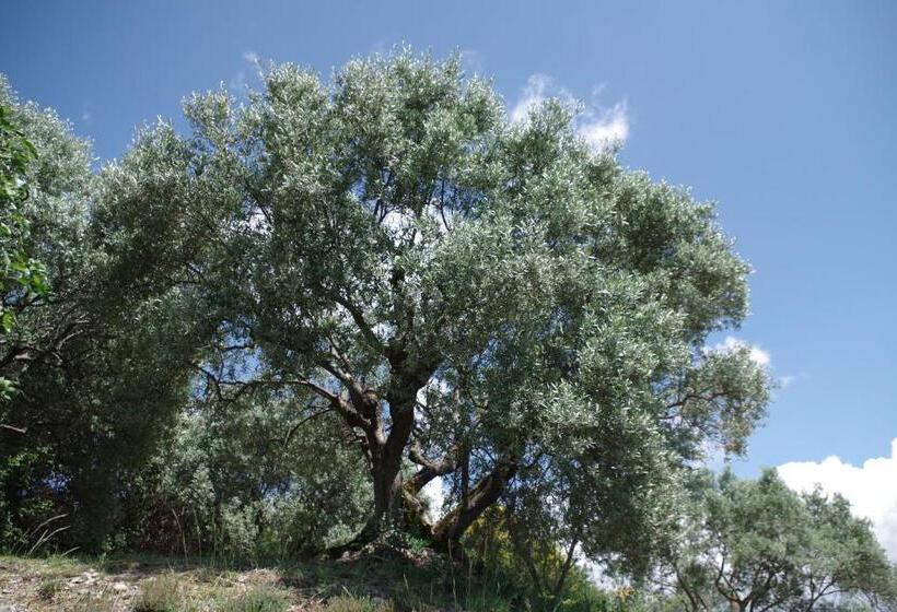 스탠다드 테라스 룸, Les Chambres D Hôtes De Valensole Au Pays Des Lavandes Et Proche Des Gorges Du Verdon