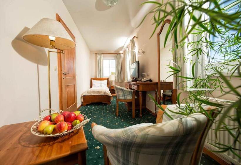 Номер Стандарт Индивидуальный, Garten Hotel Ochensberger