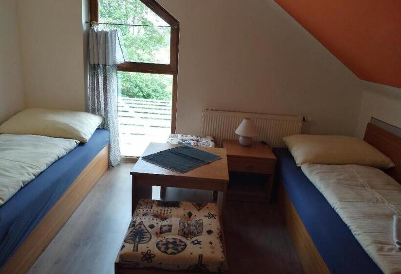 标准间, Pension Odrava
