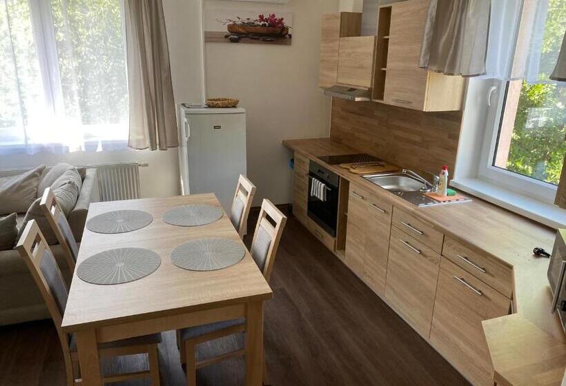 Apartamento Deluxe 1 Dormitório, Apartmány Krupka