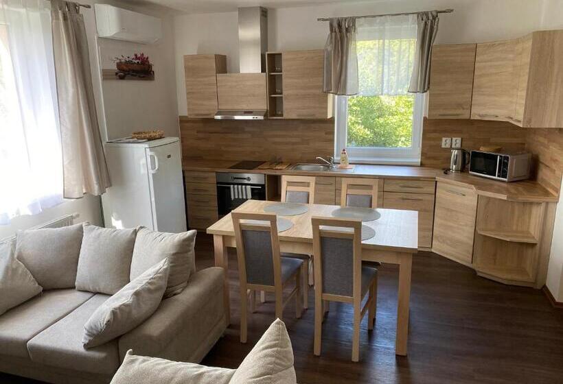 Apartamento Deluxe 1 Dormitório, Apartmány Krupka