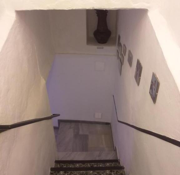 Quarto Economy Individual, Casa Alice Salar
