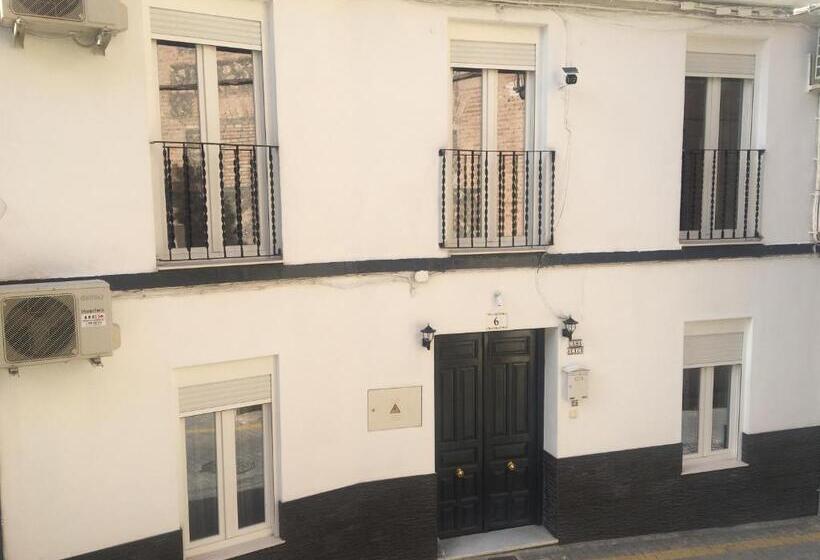 单人经济间, Casa Alice Salar