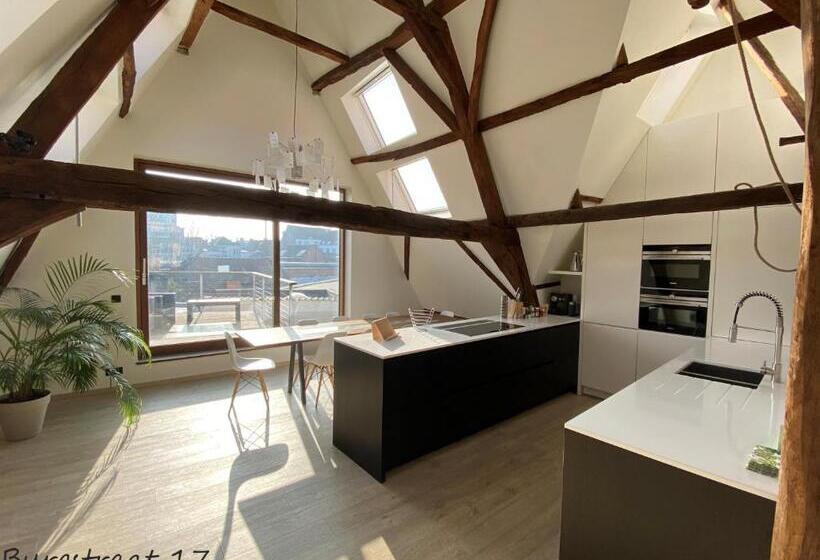 Апартаменты 1 Спальня с Террасой, Burgstraat 17 Apartment In Exclusive Patrician House In Medieval Ghent