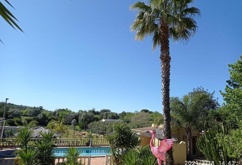 Люкс Вид на Бассейн, Quinta Pereiro Tropic Garden, Algarve