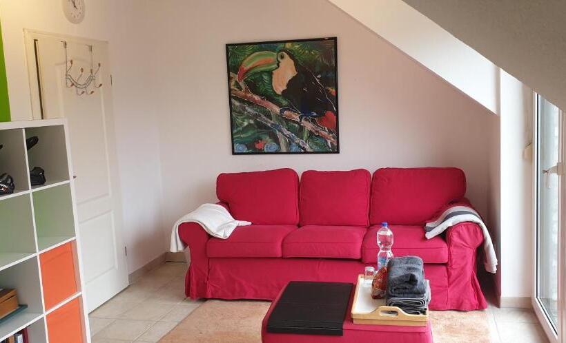 Номер Стандарт Вид на Сад, Schönste Lage Am Rhein In Unmittelbarer Stadtnähe, B & B