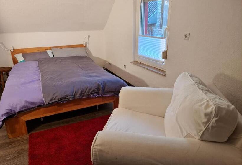Дом 2 Спальни, Schönste Lage Am Rhein In Unmittelbarer Stadtnähe, B & B