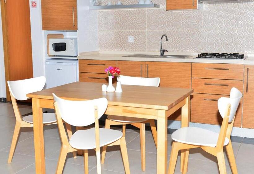 آپارتمان 1 خوابه, Odyssey Residence Apartments