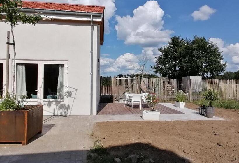 اتاق استاندارد, B&b Leybeeckhof
