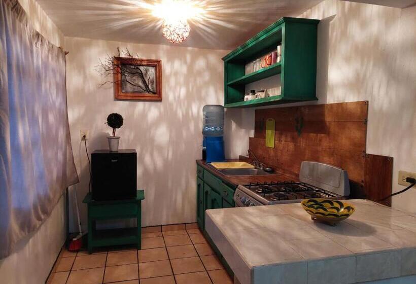 Deluxe Værelse, Casa Nopal Tu Casa Vacacional Tipo