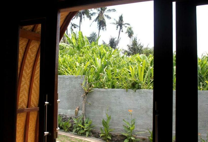 بانگلوی استاندارد, Morning Bali Bungalow