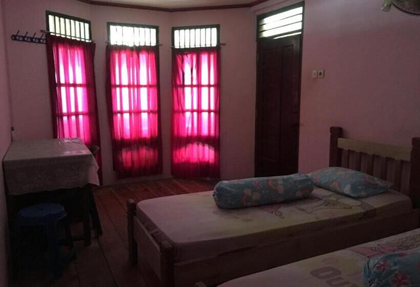 اتاق لوکس, Nias Kristov Surf Camp