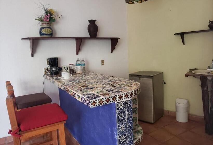 Студия Стандарт, Casa Jardín Del Tuito