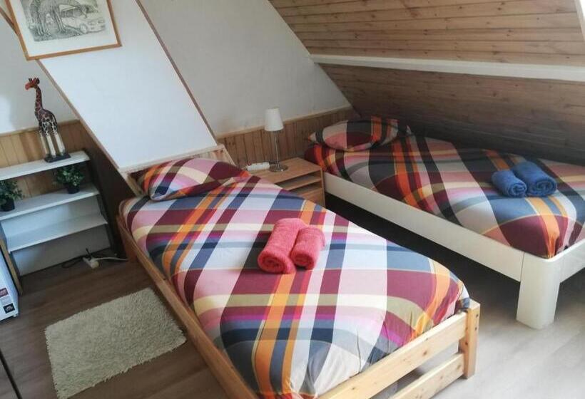 اتاق استاندارد با سرویس بهداشتی مشترک, Residentie Blijdorp