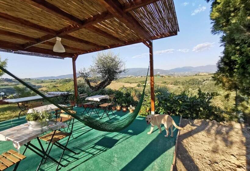 آپارتمان 1 خوابه, Corte Buenavista
