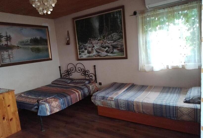 اتاق لوکس, Guest House Amazonia