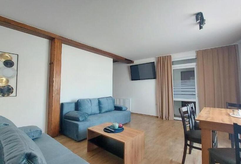 带1个卧室的高级公寓, Apartmány Podlavice
