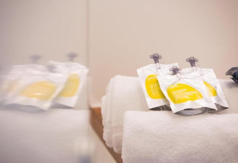 Апартаменты 1 Спальня, All Suites Appart Hôtel Bordeaux Mérignac   Aéroport