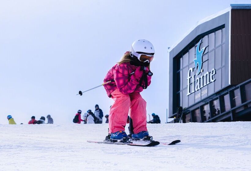 Апартаменты 4 Спальни, Dormio Resort Les Portes Du Grand Massif