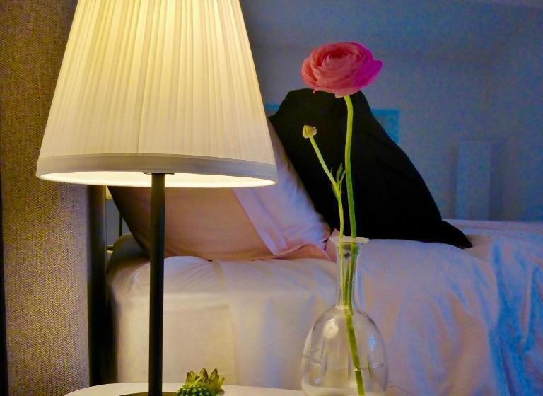 اتاق استاندارد, La Dormance