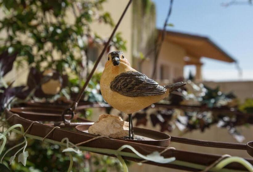 اتاق استاندارد با چشم‌انداز استخر, Maso Maroni Agriturismo