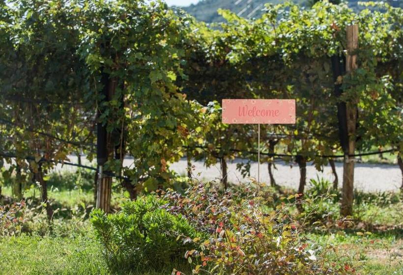 اتاق لوکس, Maso Maroni Agriturismo