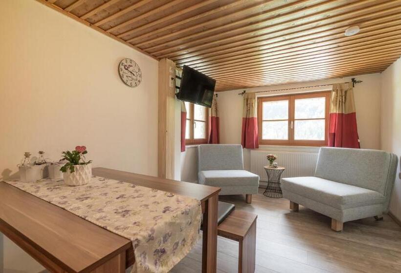 １ベッドルームアパートメント, Berggasthof Riefenkopf