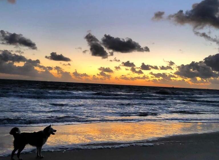 اتاق استاندارد با بالکن, Westerschelde B&b