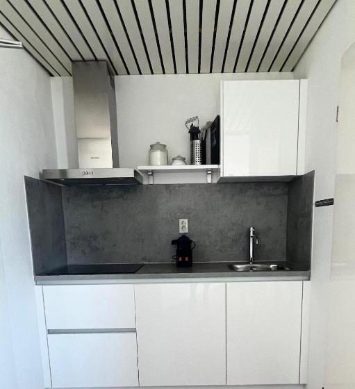 Апартаменты 1 Спальня, Neptunus Appartementen